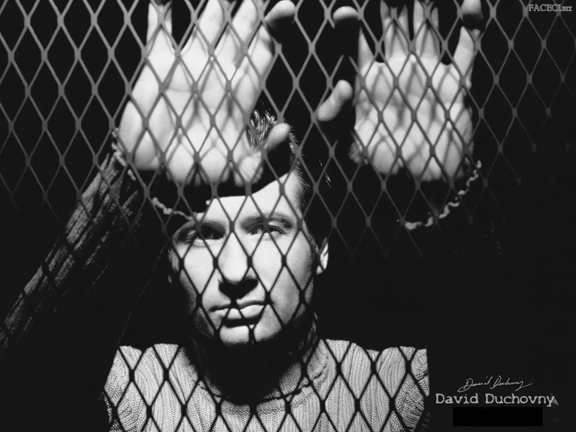 ręce, David Duchovny, twarz